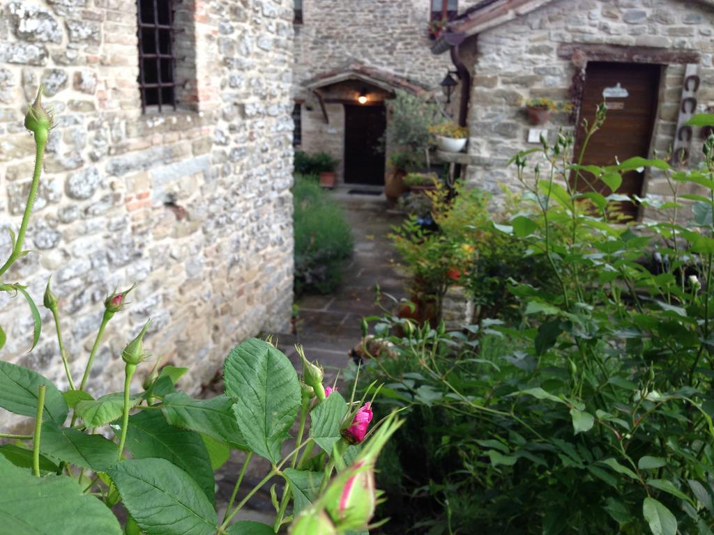 Agriturismo Biologico Castello Della Pieve Mercatello sul Metauro Exteriör bild