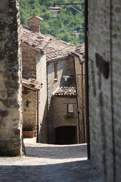 Agriturismo Biologico Castello Della Pieve Mercatello sul Metauro Exteriör bild